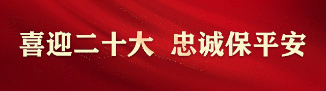 伪造假币1000万余元、虚构骗取融资款12.88亿元!金华警方发布多起打击经济犯罪典型案例