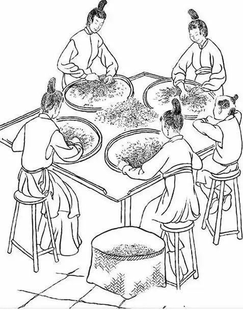 福建武夷岩茶采制技艺:一部活着的历史