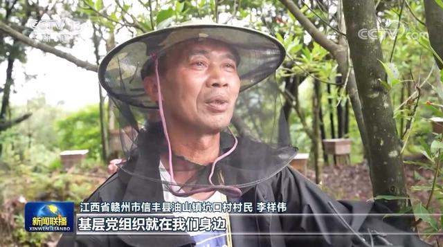 「党旗在基层一线高高飘扬」江西坑口村:“红色”村庄甜蜜事