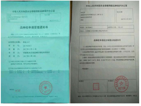 邓泗洲对话何登骥功能性苦瓜稻测产验收