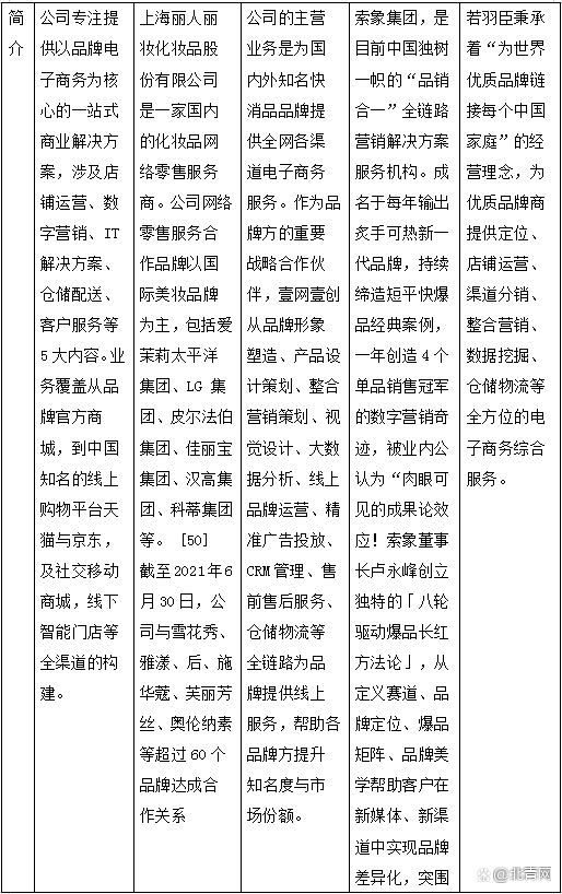 2022最新中国十大电商代运营公司出炉(附全榜单)