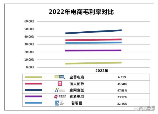 2022最新中国十大电商代运营公司出炉(附全榜单)
