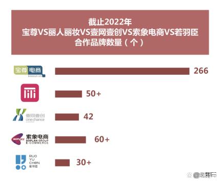 2022最新中国十大电商代运营公司出炉(附全榜单)