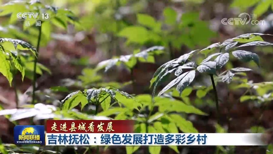 【走进县城看发展】吉林抚松:绿色发展打造多彩乡村