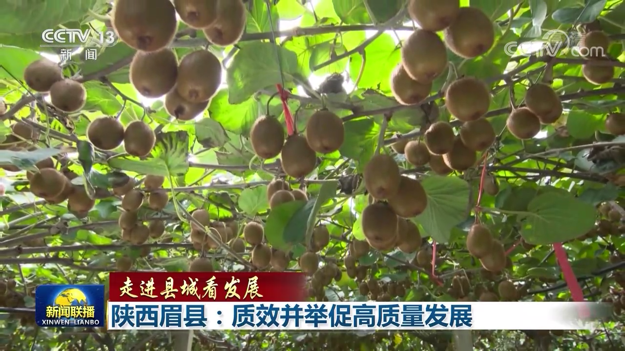 【走进县城看发展】陕西眉县:质效并举促高质量发展
