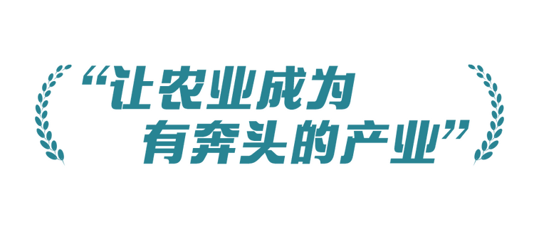 稻菽千重浪丨中国要强,农业必须强