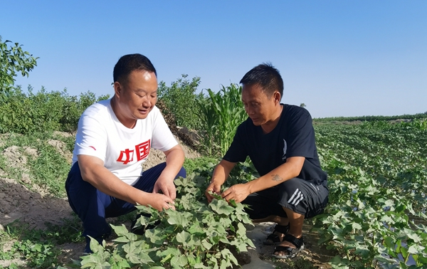 何煜:兵团团场乡村振兴的实践与思考