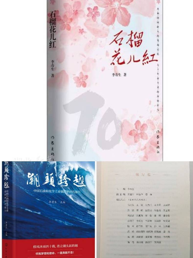 <br>百舸争流 千帆竞发---2022年石化企业五百强榜单发布