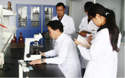 河南省委书记亲自关切,豫酒振兴2.0时代,寻找更实的支点