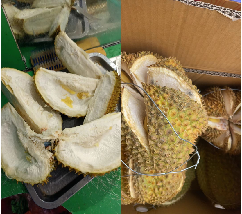 河南省中牟县万邦兜售榴莲有果无肉,商户很上火