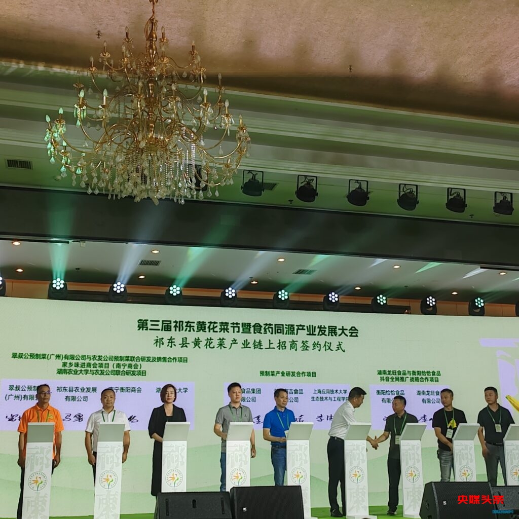 中国黄花菜之乡 祁东县举办第三届黄花菜节暨食药同源产业发展大会