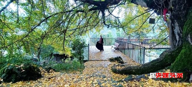 布依族的"三滴水"传承村山歌赛和长桌宴,让人陶醉