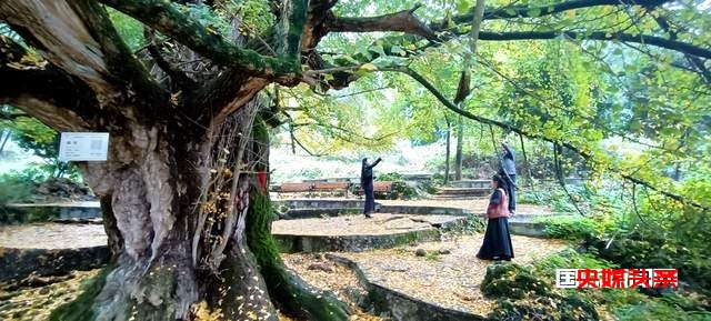 布依族的"三滴水"传承村山歌赛和长桌宴,让人陶醉
