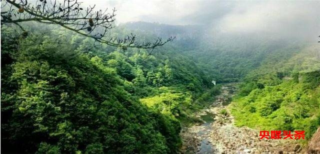 初冬象山红美人开摘了,读洪紫千“双红双绿”感受人间暖春