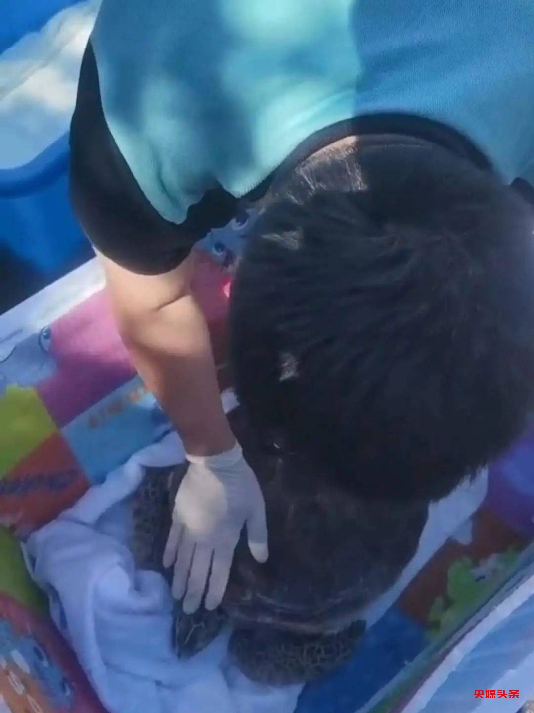 初冬象山红美人开摘了,读洪紫千“双红双绿”感受人间暖春