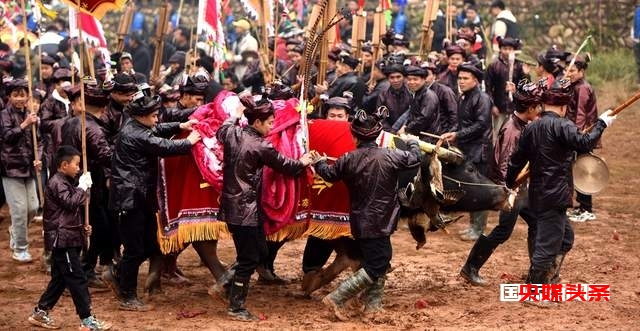 贵州从江岜扒村:传统民间斗牛文化活动在牛塘举行
