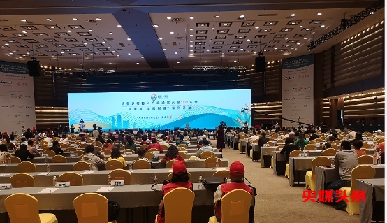 王美莲(瑞美)在博鳌乡村振兴产业发展大会荣获“乡村振兴带头人”殊荣