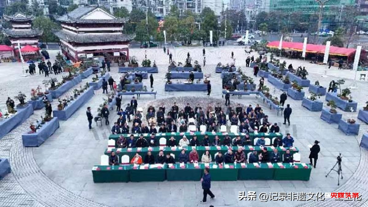 盆景之韵:福泉双赛展匠心,艺术生活共辉煌