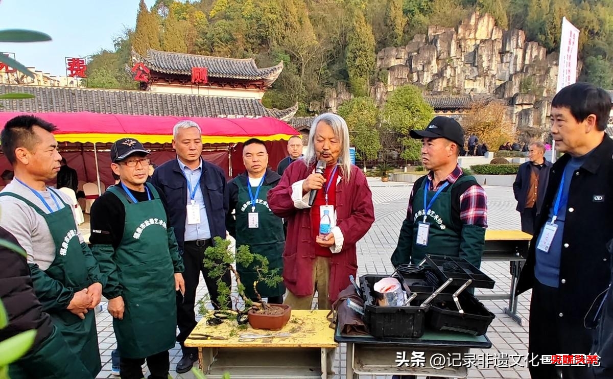 盆景之韵:福泉双赛展匠心,艺术生活共辉煌