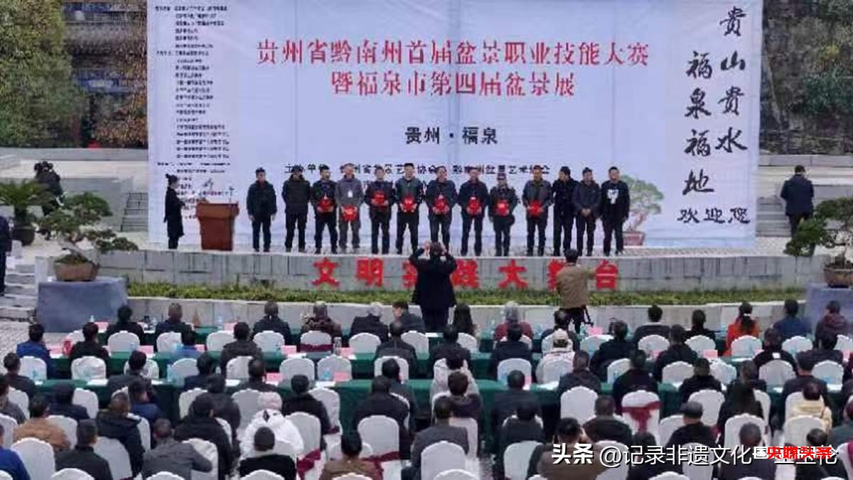 盆景之韵:福泉双赛展匠心,艺术生活共辉煌