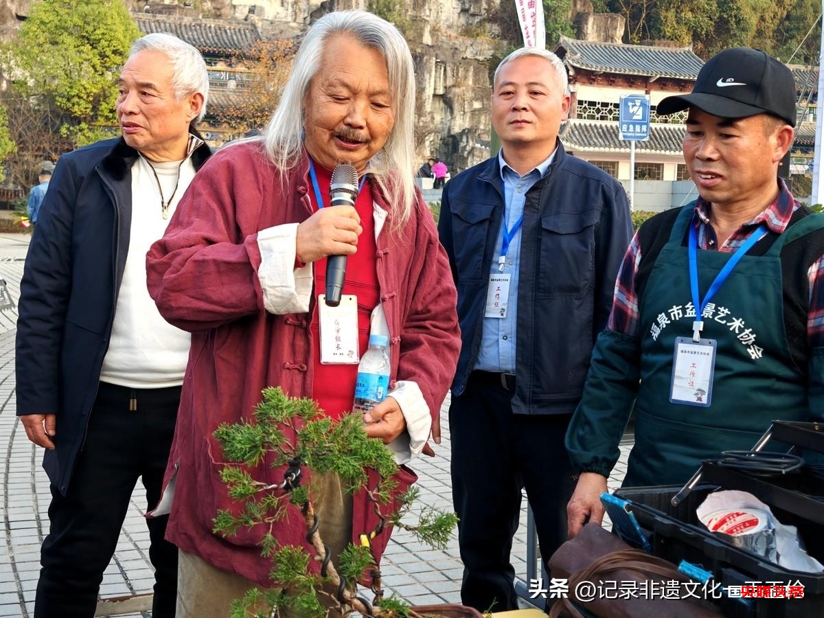 盆景之韵:福泉双赛展匠心,艺术生活共辉煌