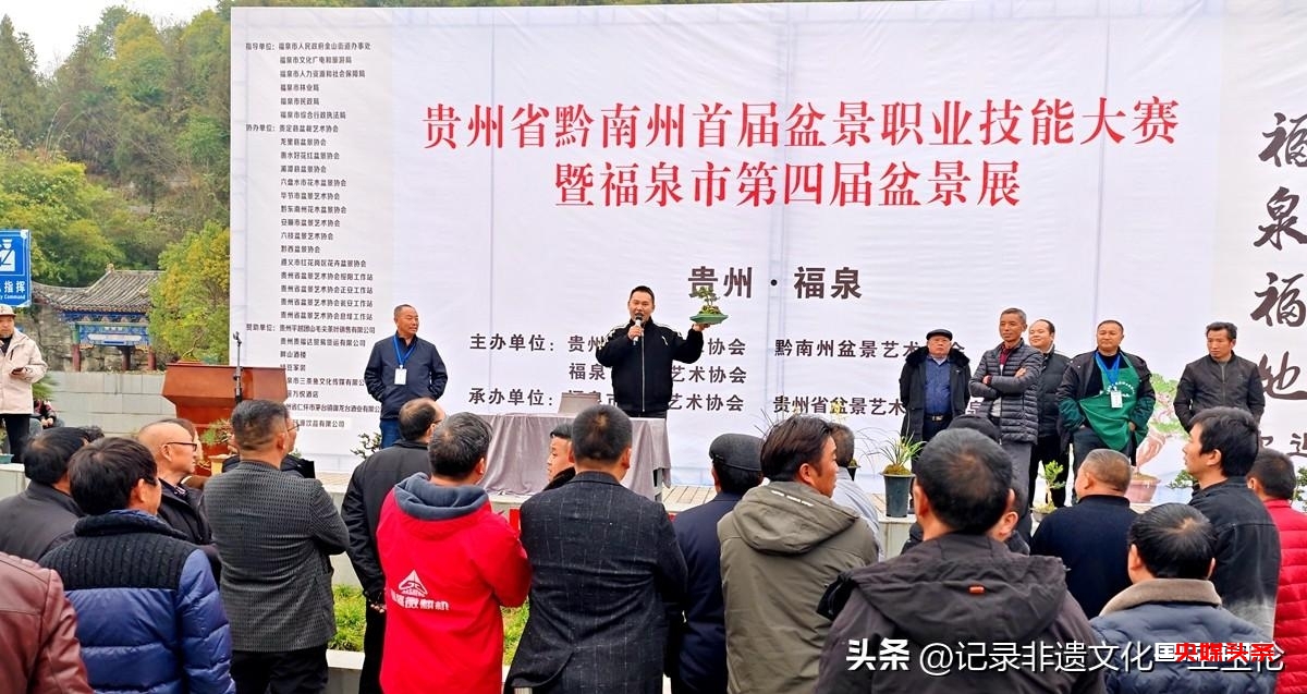 盆景之韵:福泉双赛展匠心,艺术生活共辉煌