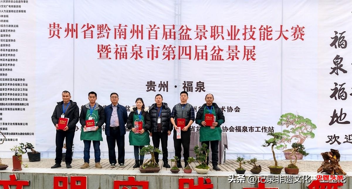 盆景之韵:福泉双赛展匠心,艺术生活共辉煌