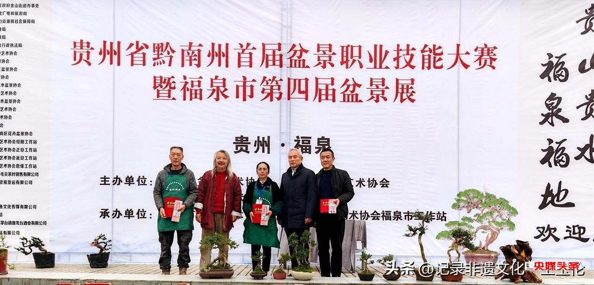 盆景之韵:福泉双赛展匠心,艺术生活共辉煌