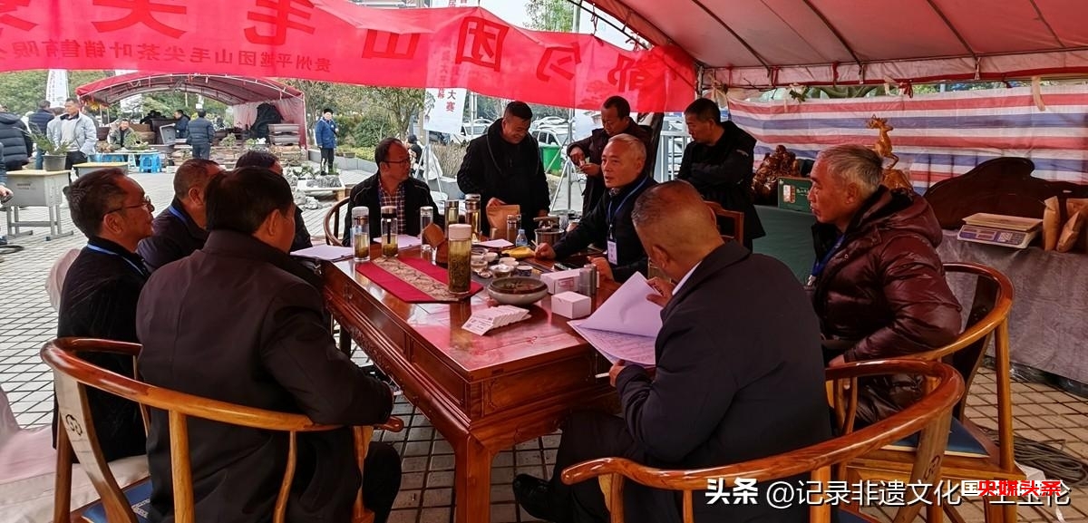 盆景之韵:福泉双赛展匠心,艺术生活共辉煌
