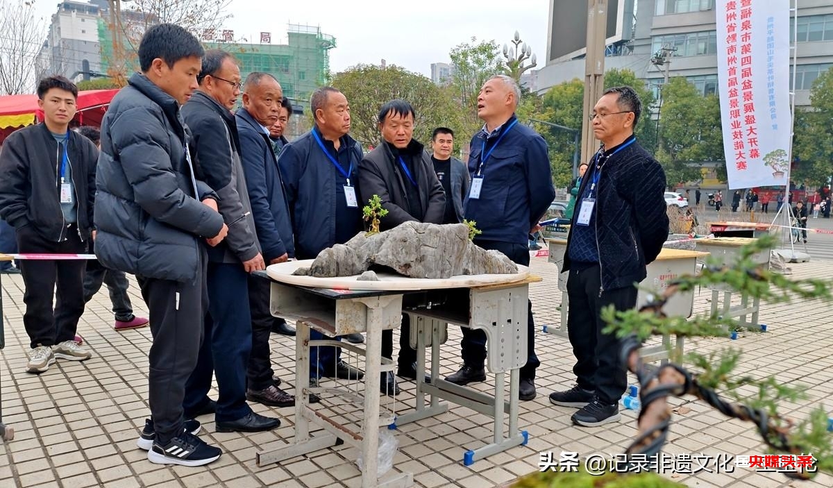 盆景之韵:福泉双赛展匠心,艺术生活共辉煌