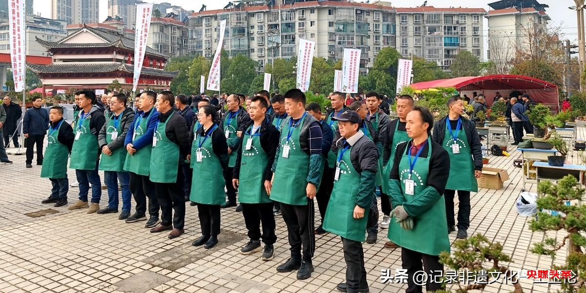 盆景之韵:福泉双赛展匠心,艺术生活共辉煌