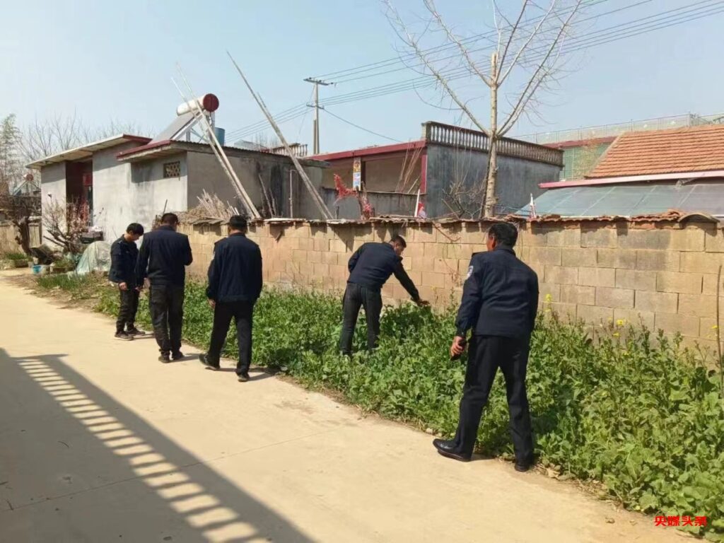 向城镇:禁种铲毒齐发力,宣传踏查守净土