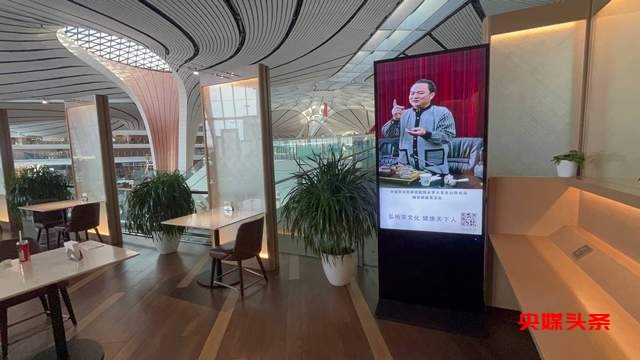 北京机场《中国文化艺术品代言》主题巡展——罗大友