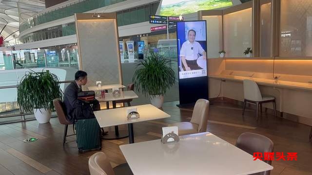 北京机场《中国文化艺术品代言》主题巡展——罗大友