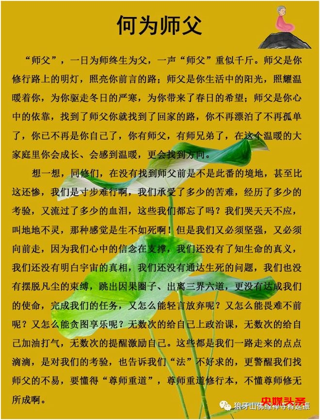 特大好消息!少林医宗三十四代传人释延振第二十四期收徒研习班开始报名,名额有限,机会难得!2024年5月17日-19日不见不散
