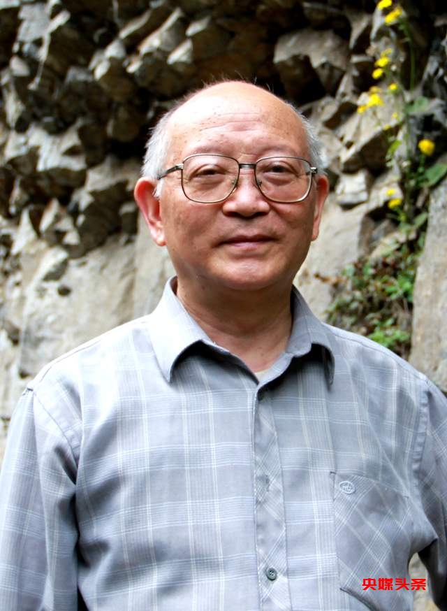 乐山之子,艺术之光——记嘉州画院副院长盛志中