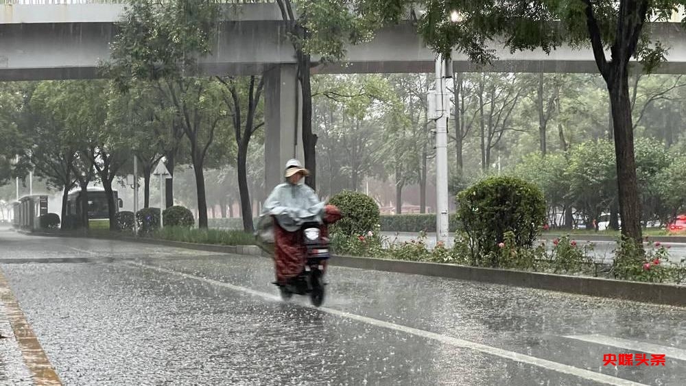 专家提示:连续降雨后,应科学清洁环境预防常见传染病
