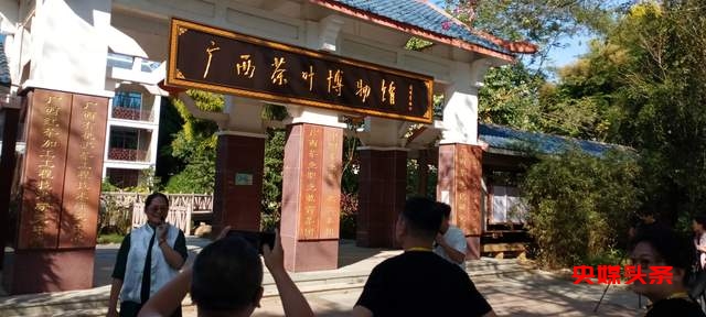 广西中华文化学院举办国际茶文化交流活动,助推中华传统文化传播