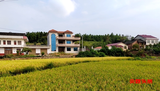 新化县上梅街道北渡村:狠抓“三个起来”建设和美乡村