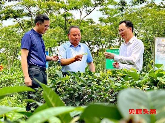 中国精神——当代茶文化名家罗大友迎新春主题巡展