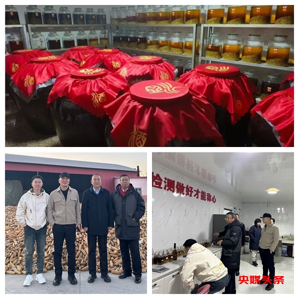 内蒙古粮老头酒业有限公司:传承与创新并举 打造北方黄酒新名片