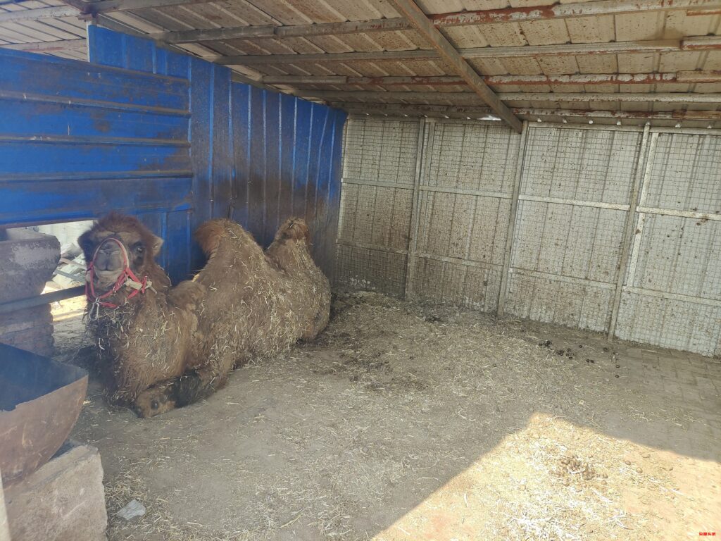 河南省正阳县翡翠山庄:畅享多彩生活,开启财富新程