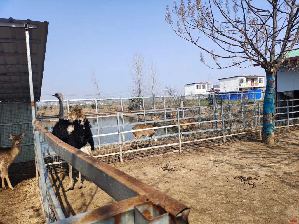 河南省正阳县翡翠山庄:畅享多彩生活,开启财富新程