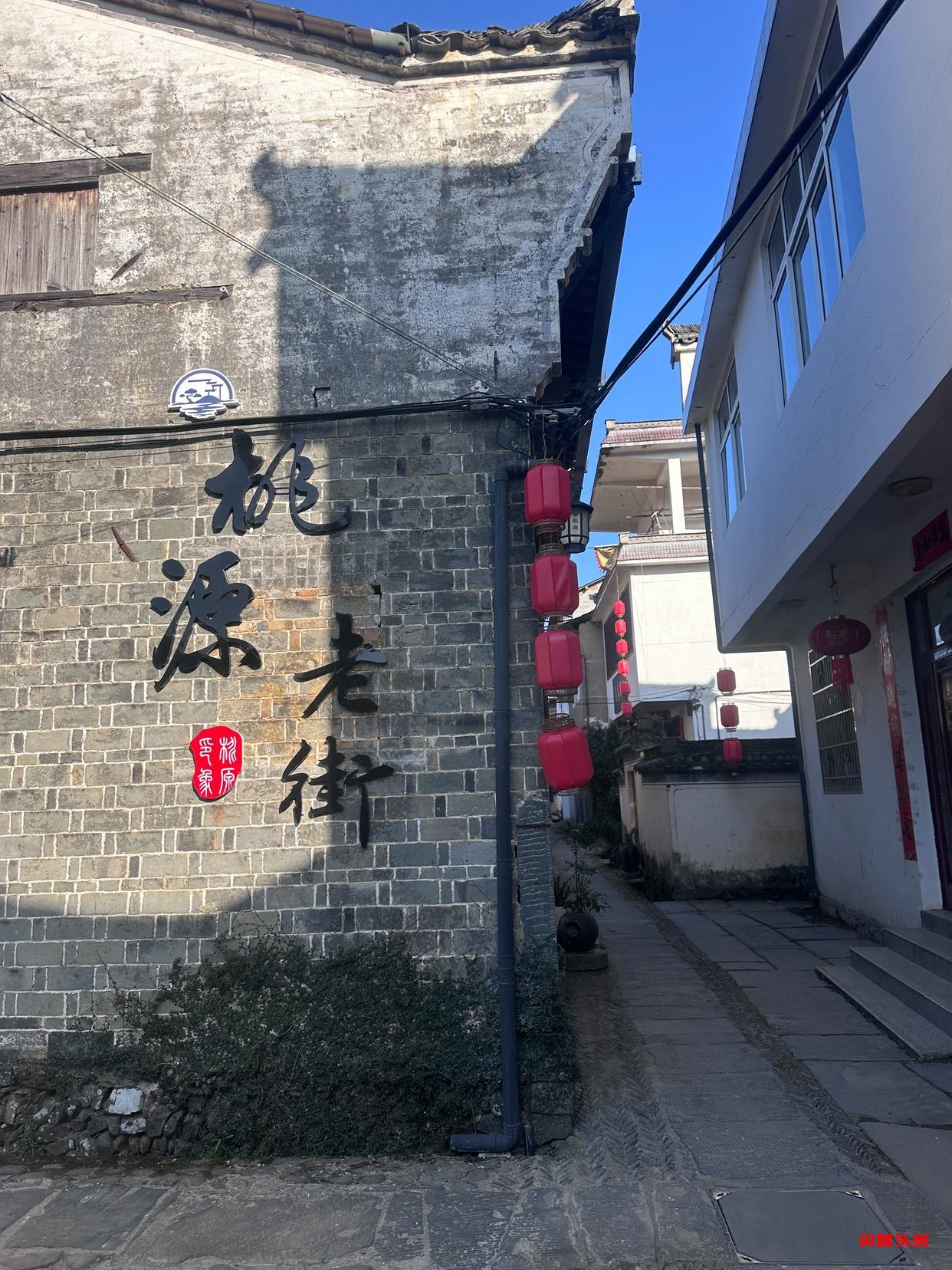 专访国家级非遗传承人陈敦和:守护千年家族祭祀文化的传承者