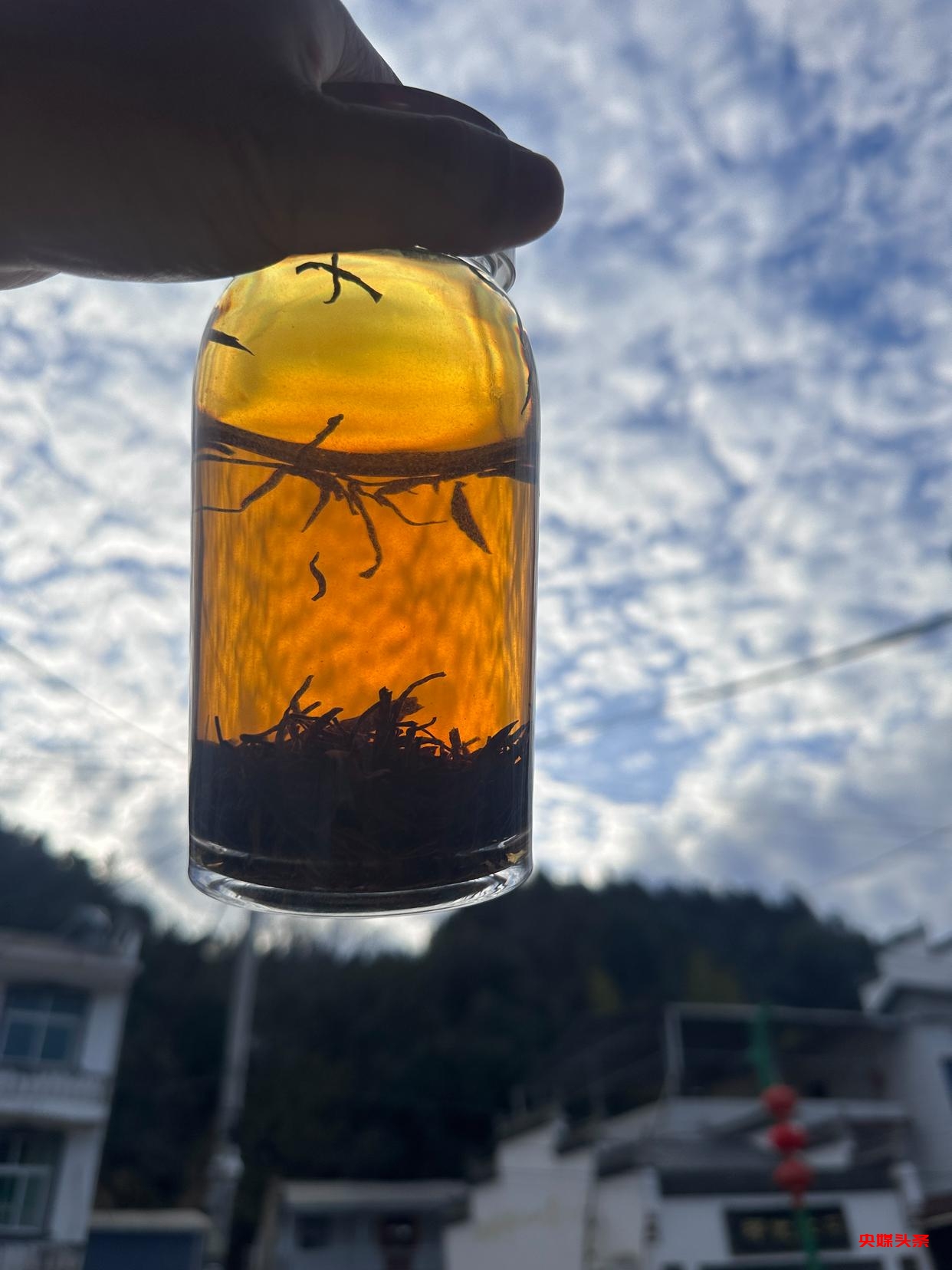 专访国家级非遗传承人陈敦和:守护千年家族祭祀文化的传承者