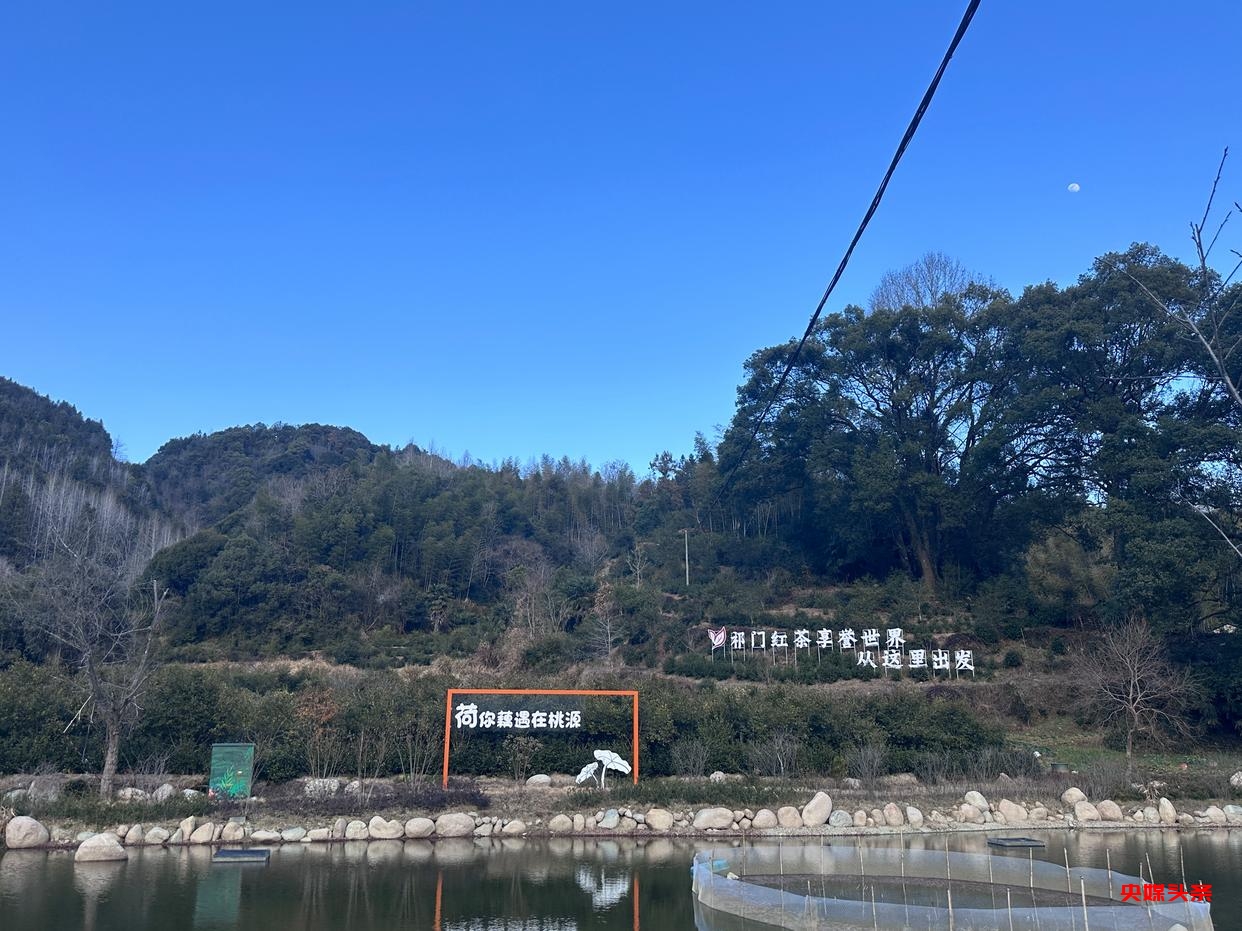 专访国家级非遗传承人陈敦和:守护千年家族祭祀文化的传承者