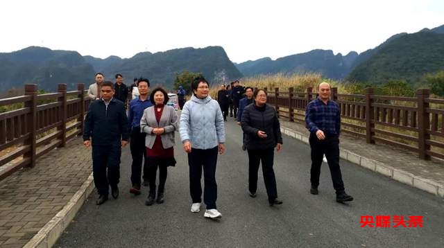 河北政协副主席常丽虹率队考察,助力红色东兰生态与经济并举