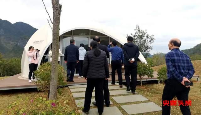 河北政协副主席常丽虹率队考察,助力红色东兰生态与经济并举