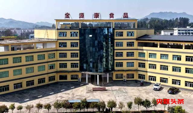 贵州湄潭刺梨，金源康的金色产业链，助力乡村致富新路径