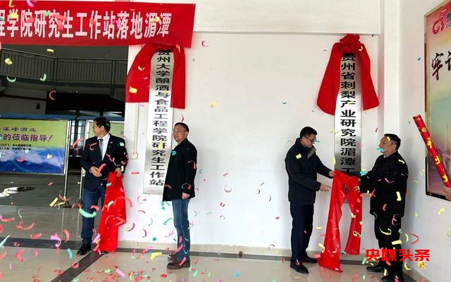 贵州湄潭刺梨，金源康的金色产业链，助力乡村致富新路径